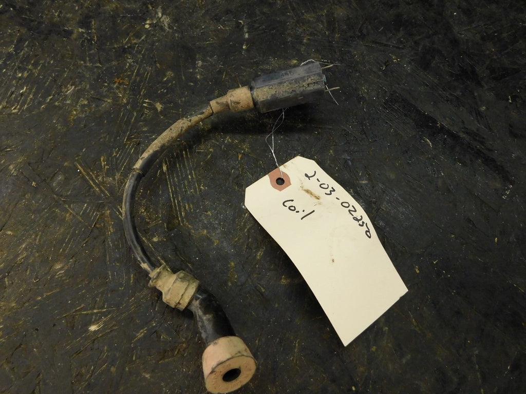 2003 Suzuki Ozark 250 Coil