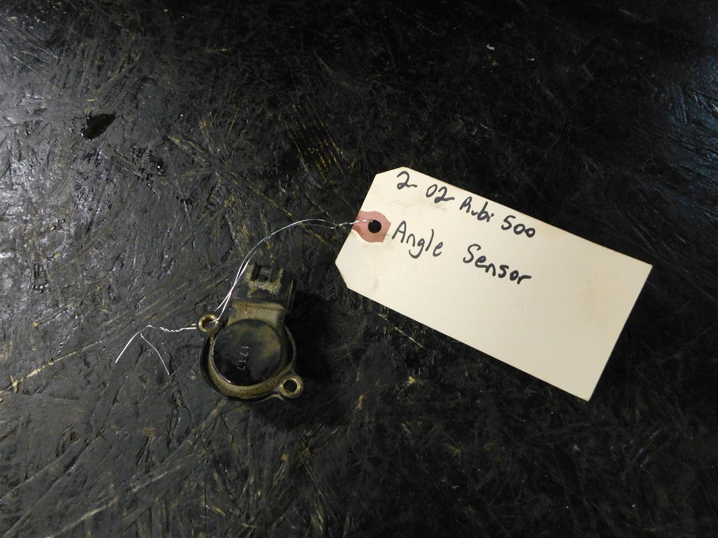 2002 Honda Rubicon 500 Angle Sensor