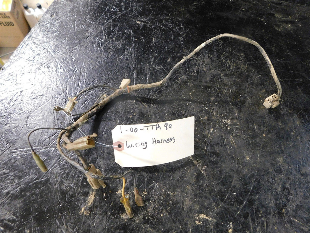 2000 Yamaha TTR90 Wiring Harness