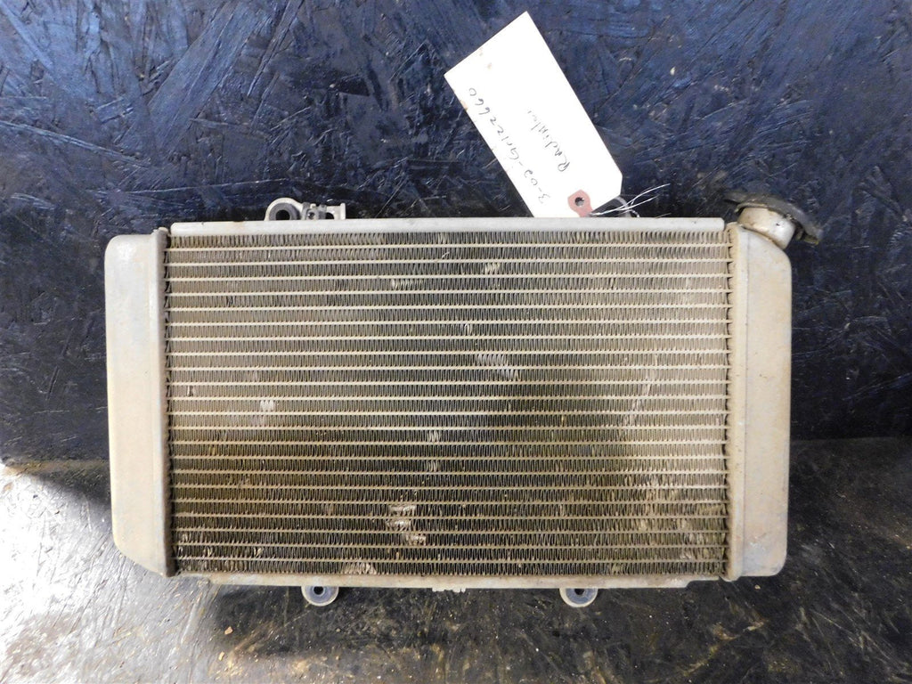 2002 Yamaha Grizzly 660 Radiator
