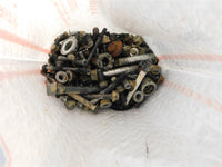 2008 Kawasaki Bayou 250 Hardware / Bolts Lot