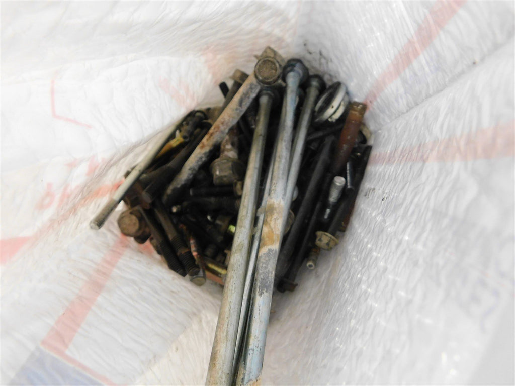 1999 Kawasaki Bayou 220 Hardware / Bolts Lot