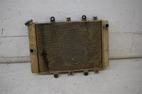 2007 Yamaha Grizzly 700 EPS Radiator 3B4-1240A-00-00
