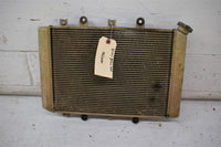 2007 Yamaha Grizzly 700 EPS Radiator 3B4-1240A-00-00