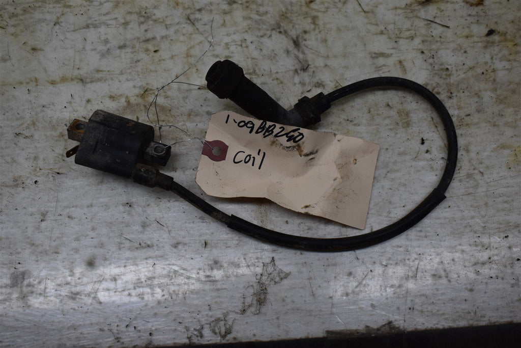 2009 Yamaha Big Bear 250 Coil 4KJ-82310-10-00