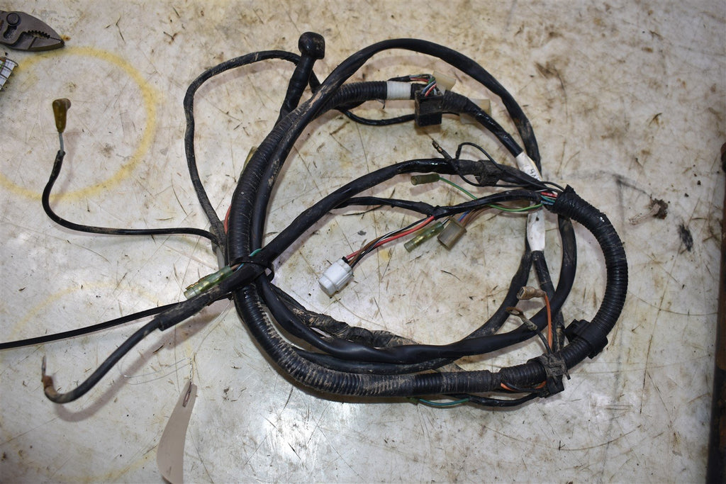 1999 Yamaha Bear Tracker 250 2WDWiring Harness 4XE-82590-00-00
