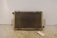 2019 Can Am Defender 4x4 HD8 DPS Radiator 709200533