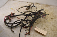 1999 Polaris Sportsman 335 Wiring Harness 2460544