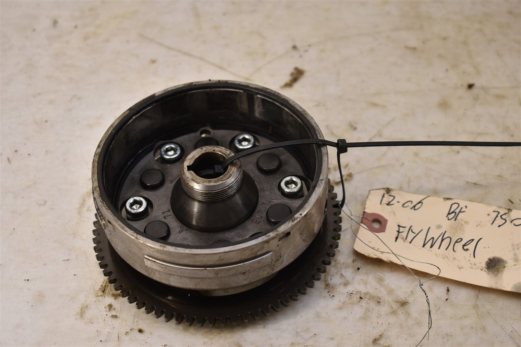 2006 Kawasaki Brute Force 750 4x4i Flywheel 21007-0013