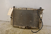 2006 Yamaha Rhino 660 4WD Radiator 5UG-E2461-00-00