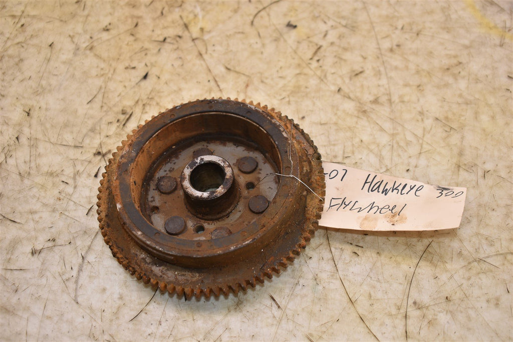2007 Polaris Hawkeye 300 4x4 Flywheel 3089974