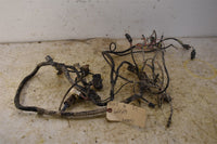 2002 Arctic Cat 375 2x4 Auto Wiring Harness 0486-090