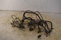 2002 Arctic Cat 375 2x4 Auto Wiring Harness 0486-090
