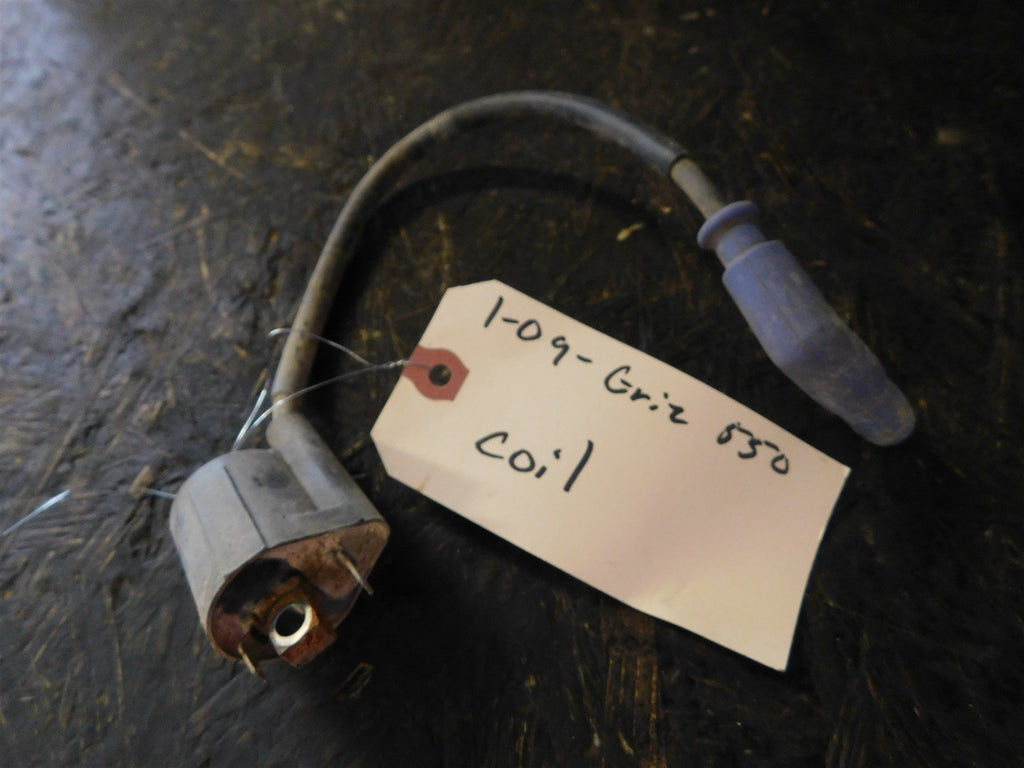 2009 Yamaha Grizzly 550 Coil