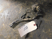 1997 Honda XR 100 Wiring Harness / CDI