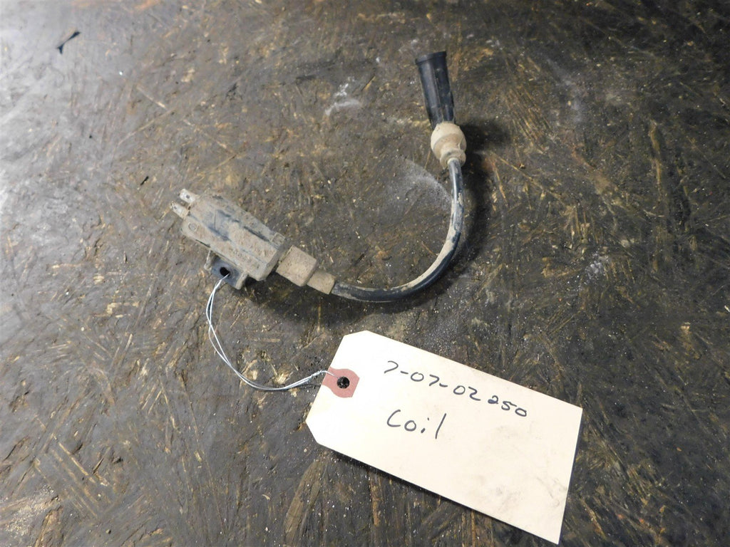 2007 Suzuki Ozark 250 Coil