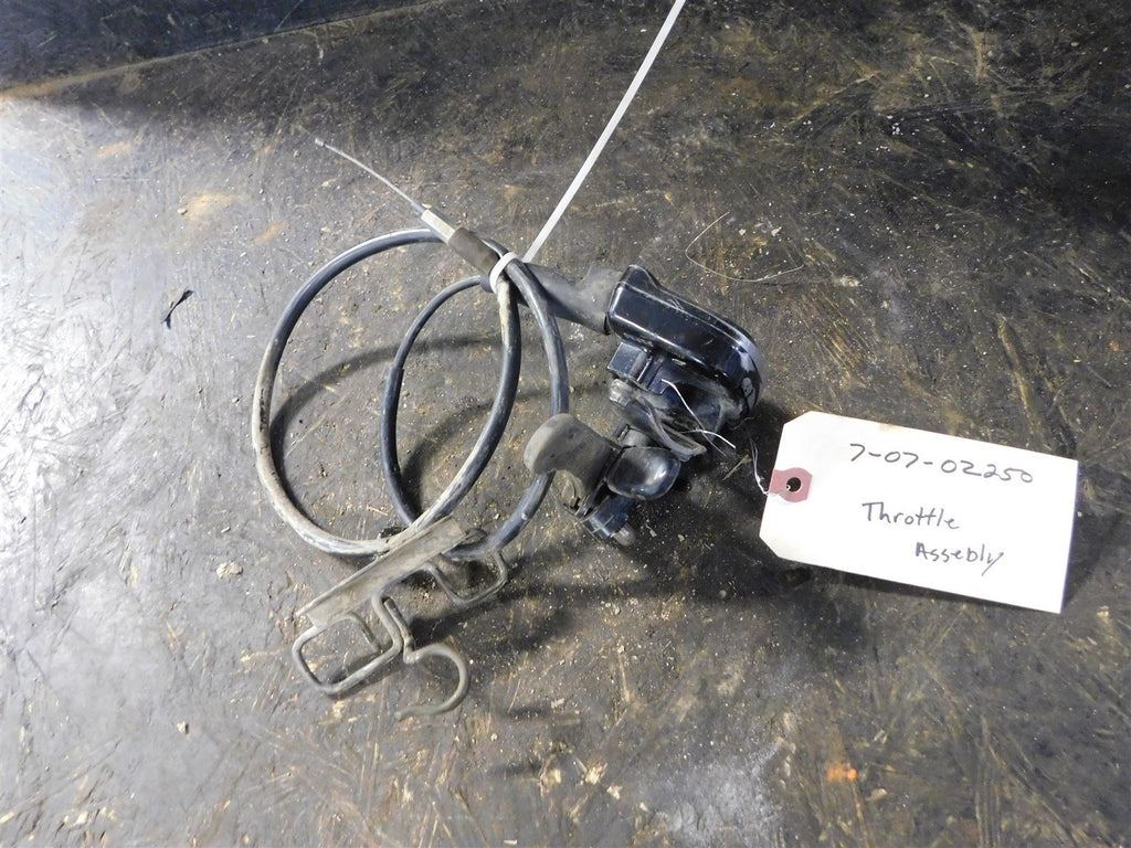 2007 Suzuki Ozark 250 Throttle