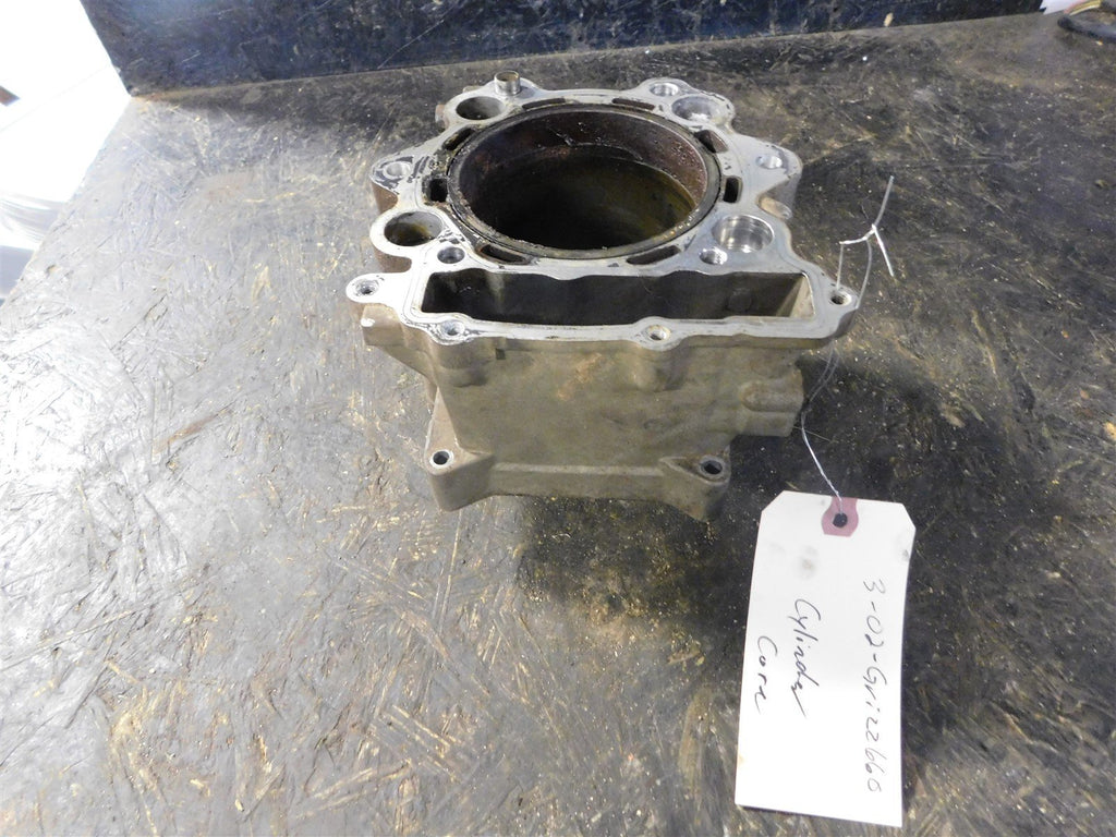 2002 Yamaha Grizzly 660 Cylinder CORE