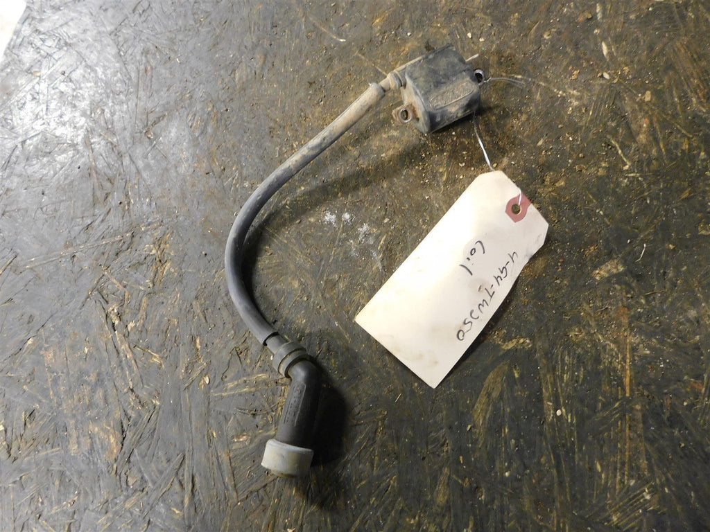 1994 Yamaha Timber Wolf 250 Coil