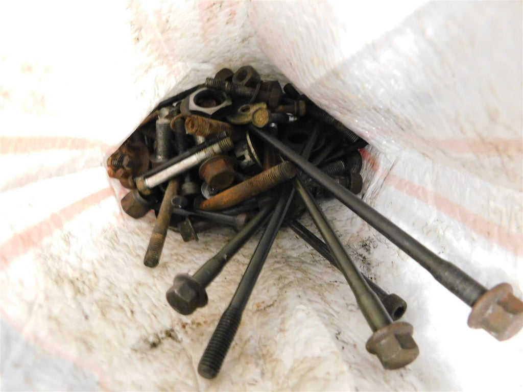 1994 Yamaha Timber Wolf 250 Hardware / Bolts Lot