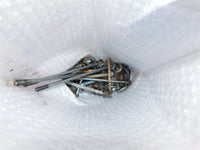 1988 Yamaha Moto4 80 Bolt Lot