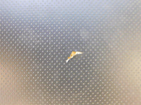 2003 Yamaha Raptor 80 2WD Seat