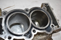 2010 Polaris Sportsman 850 Crankcases