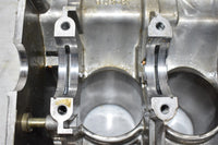 2010 Polaris Sportsman 850 Crankcases