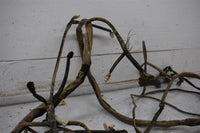 2014 Yamaha Viking 700 Wiring Harness 1XD-82590-00-00