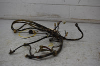 1999 Yamaha Bear Tracker 250 Wiring Harness 4XE-82590-00-00