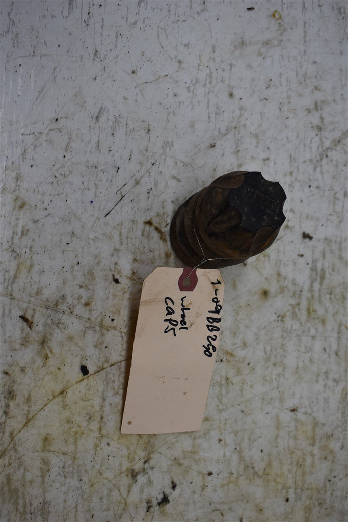 2009 Yamaha Big Bear 250 Wheel Caps 52H-2512A-00-00