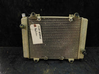 2005 Kawasaki Brute Force 650SRA Radiator