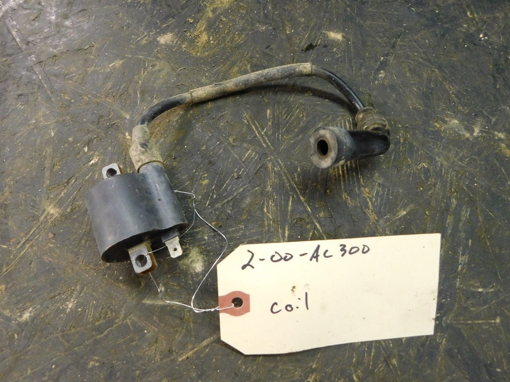 2000 Arctic Cat 300 4x4 Coil