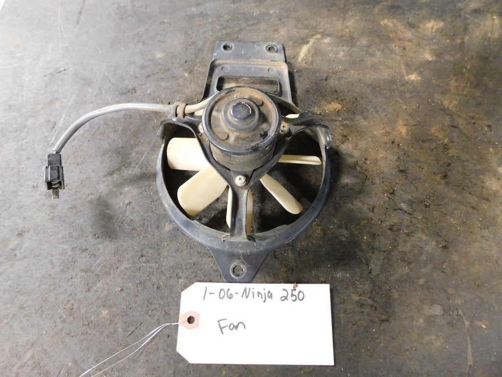 2006 Kawasaki Ninja 250 Fan