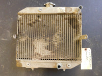 2005 Honda Rubicon 500 Radiator