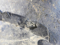 2011 Polaris Sportsman 550 Dash Plastic - Bottom