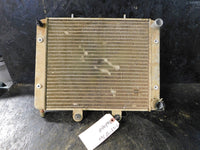 2007 Polaris Sportsman 700 Radiator