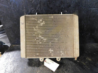 2007 Polaris Sportsman 700 Radiator