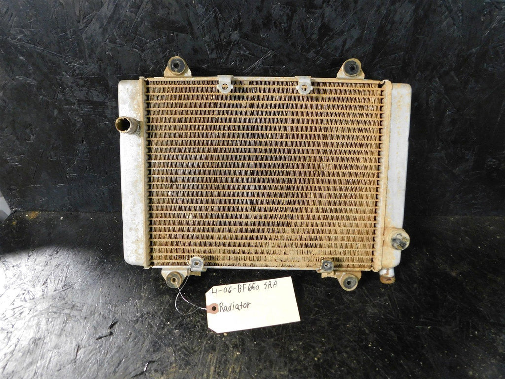 2006 Kawasaki Brute Force 650SRA Radiator