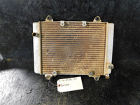 2006 Kawasaki Brute Force 650SRA Radiator