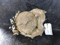 2007 Honda Foreman 500FM Engine Side Case