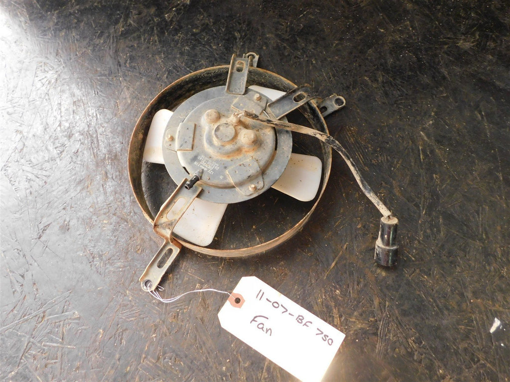 2007 Kawasaki Brute Force 750 Fan