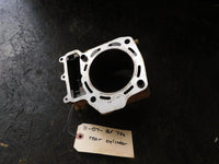 2007 Kawasaki Brute Force 750 Rear Cylinder - CORE