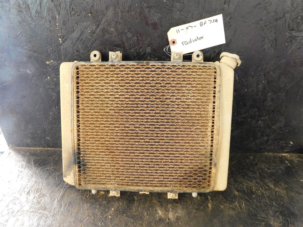 2007 Kawasaki Brute Force 750 Radiator