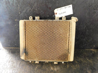 2007 Kawasaki Brute Force 750 Radiator