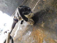 2014 Honda TRX 420 FM 4x4 Throttle