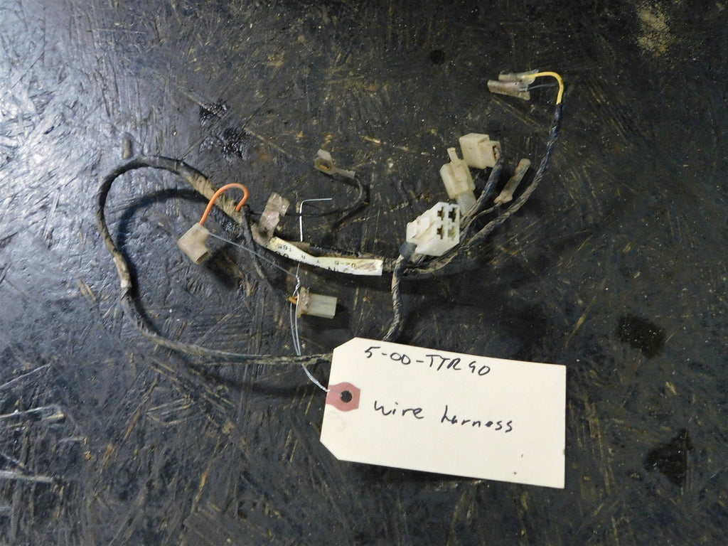 2000 Yamaha TTR90 Wiring Harness