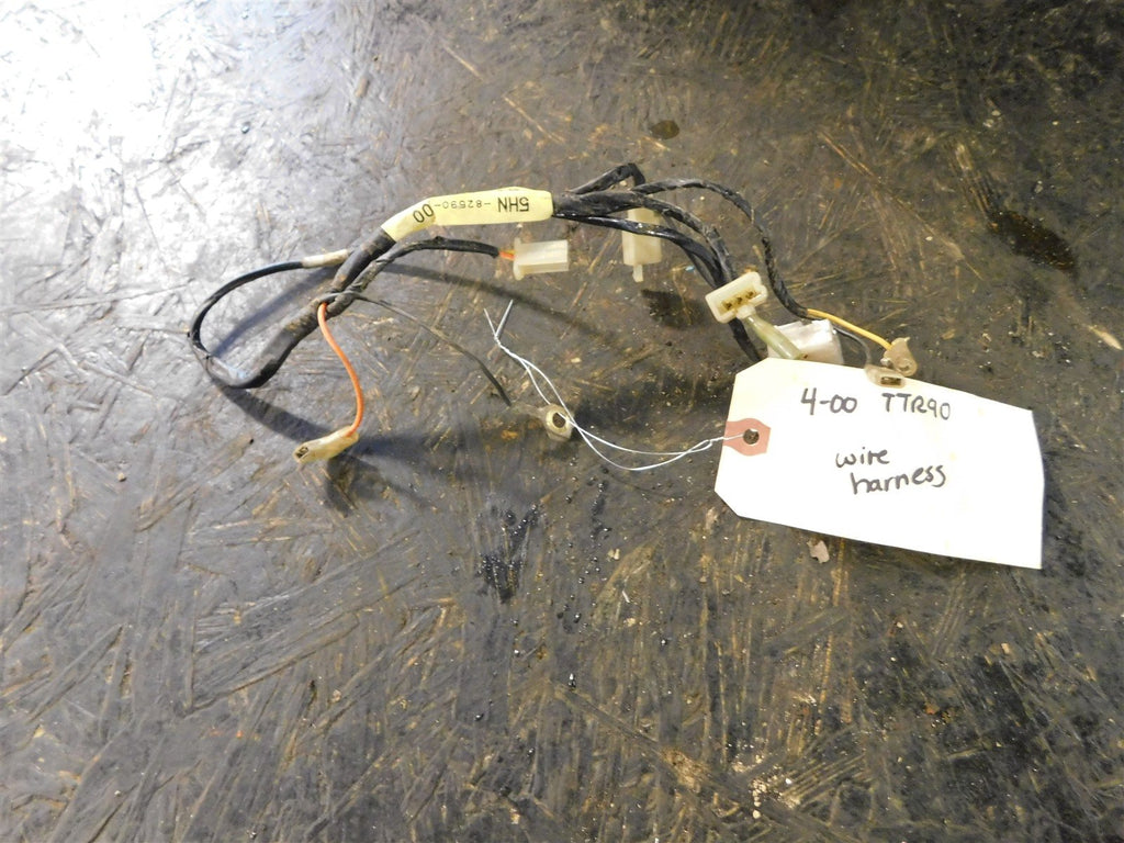 2000 Yamaha TTR90 Wiring Harness