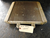 2006 Polaris Sportsman 500 x2 (2up) EFI Radiator