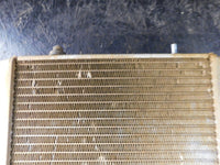 2006 Polaris Sportsman 500 x2 (2up) EFI Radiator